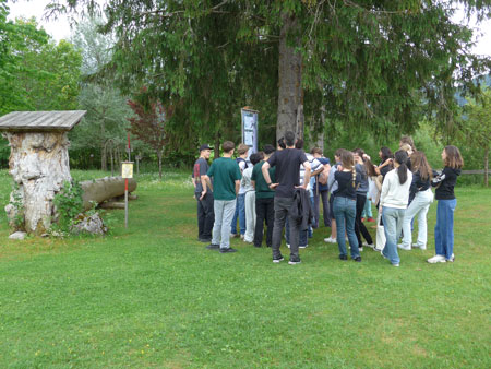 Besuch Baumlehrpfad 2026